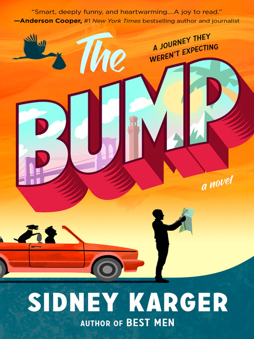 Cover image for The Bump